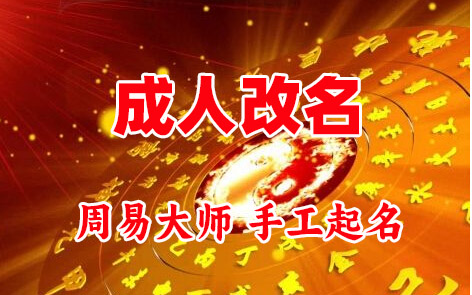 漯河成人改名-找大师一对一改名先分析后改名